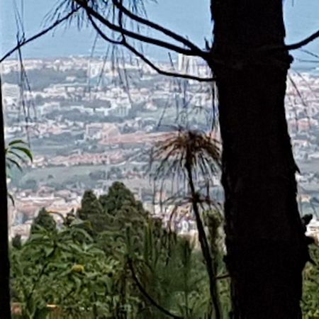 Finca La Casita La Orotava Bagian luar foto
