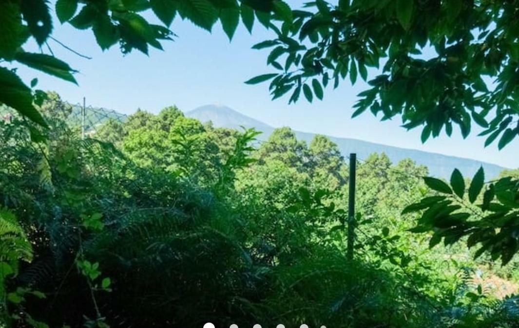 Finca La Casita La Orotava Bagian luar foto